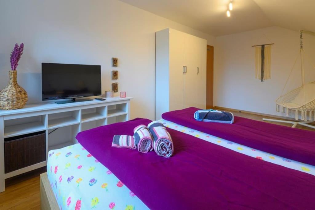Family Apartment Bad Goisern Εξωτερικό φωτογραφία